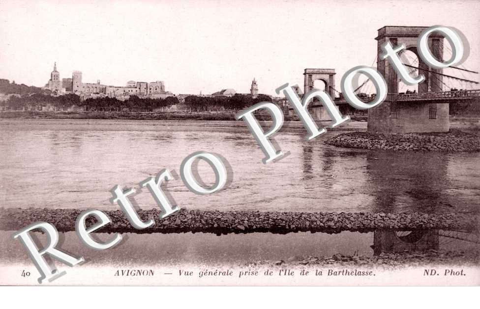vue generale prise de l'Ile de la Barthelasse