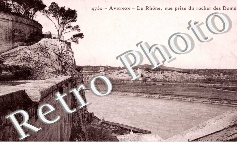 le Rhone vue prise du rocher des Doms