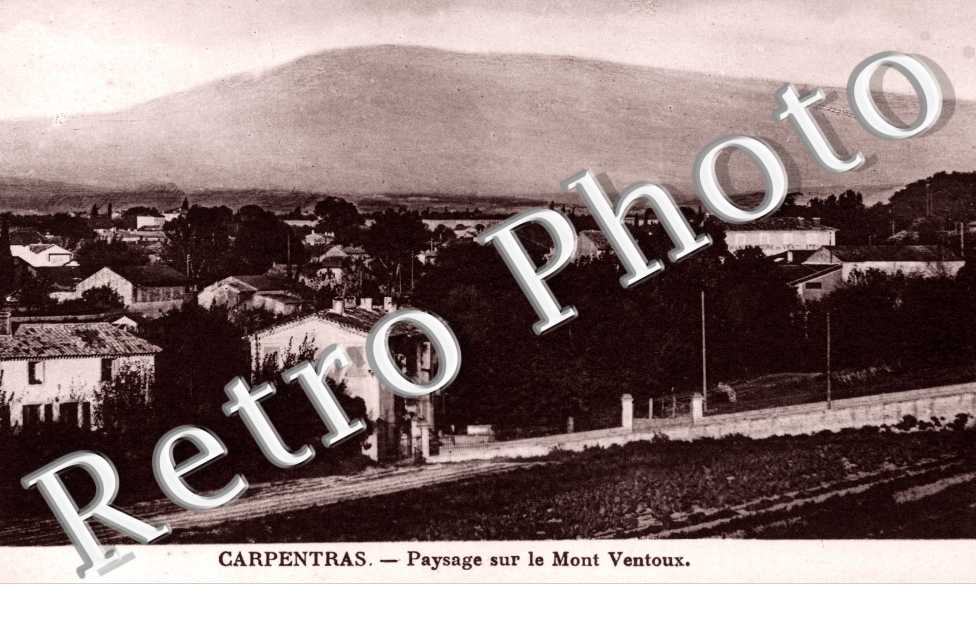 paysage sur le Mont Ventoux