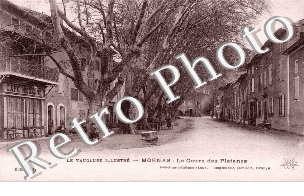 Le cours des platanes