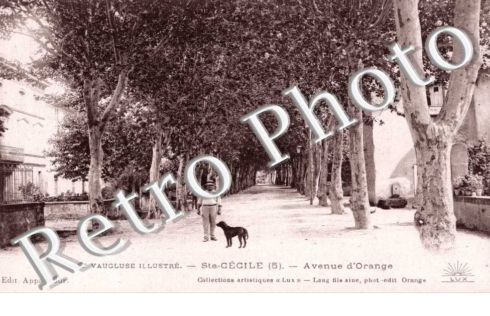 avenue d'Orange