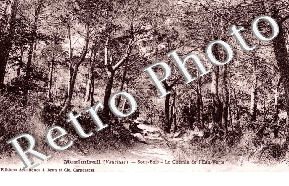 Montmirail les Bains - Sous-bois - le chemin de l'Eau-verre