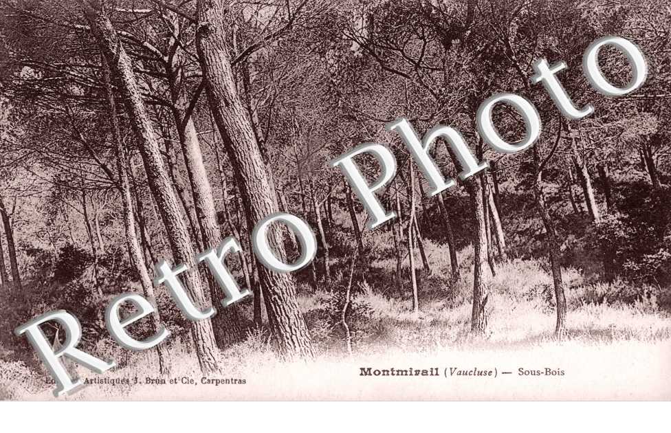 Montmirail les Bains - Sous-bois