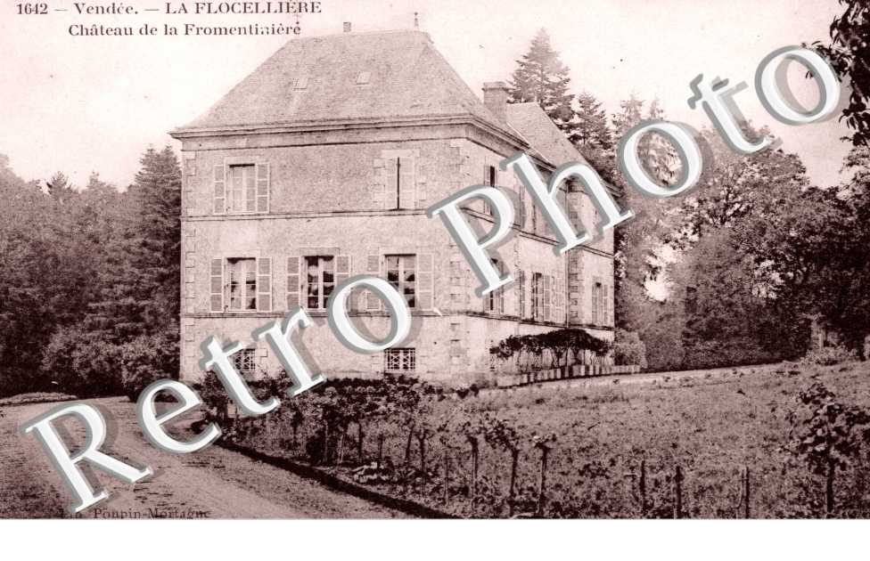 Chateau de la Fromentiniere