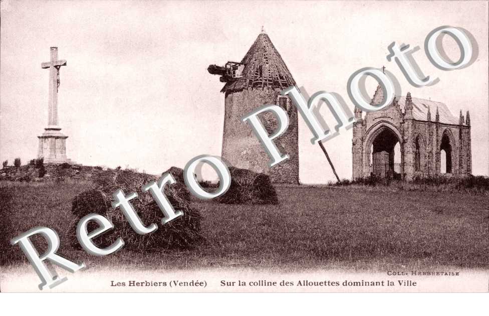 Sur la Colline des Allouettes dominant la Ville