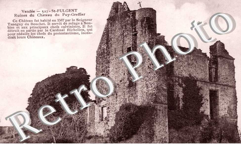Ruines du Chateau du Puy Greffier