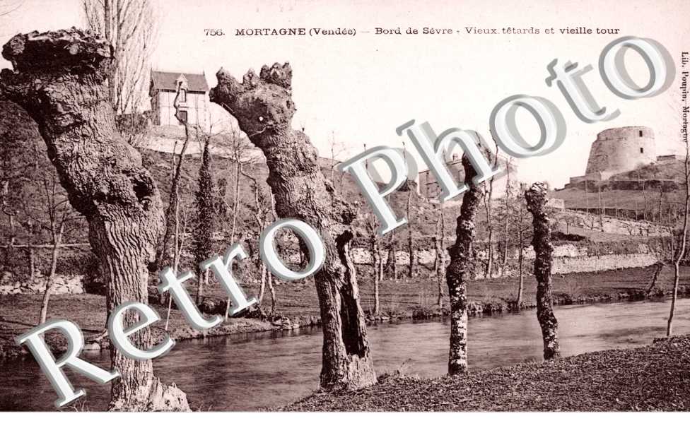 Bord de Sevre, Vieux Tetards et Vieille Tour