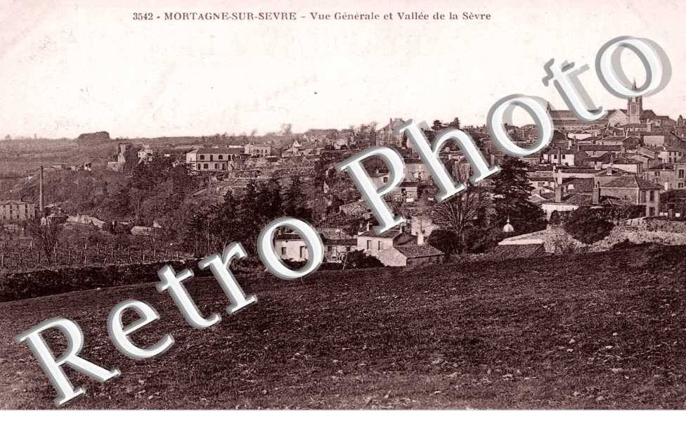 Vue Generale et Vallee de la Sevre
