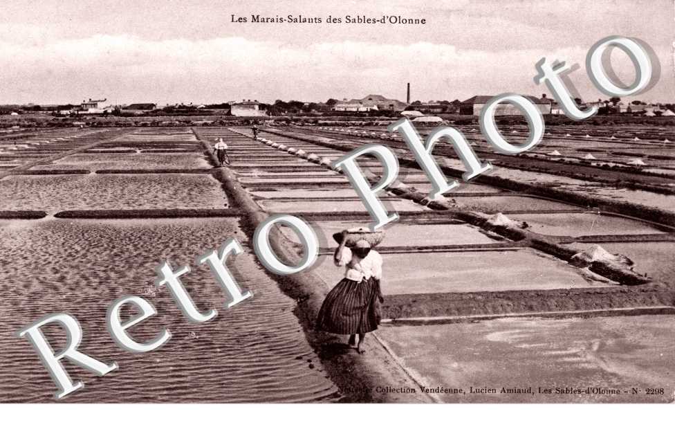 Les Marais Salants