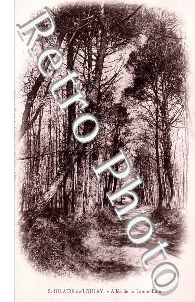 Allee de La Lande-Buor