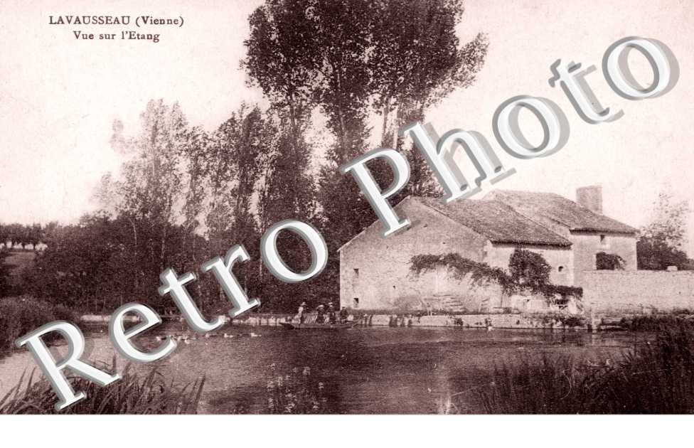 vue sur l'etang