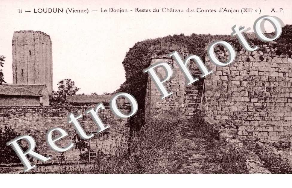 le donjon - les restes du Chateau des Comtes d'Anjou
