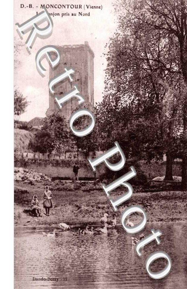 le Donjon pris au Nord