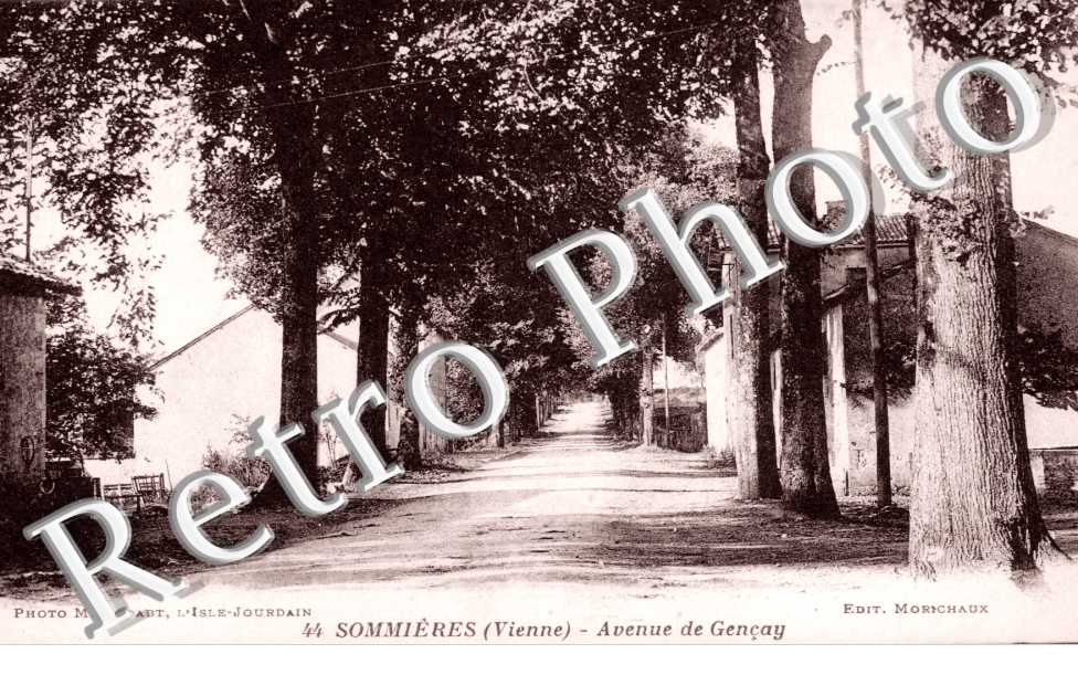l'Avenue de Gencay