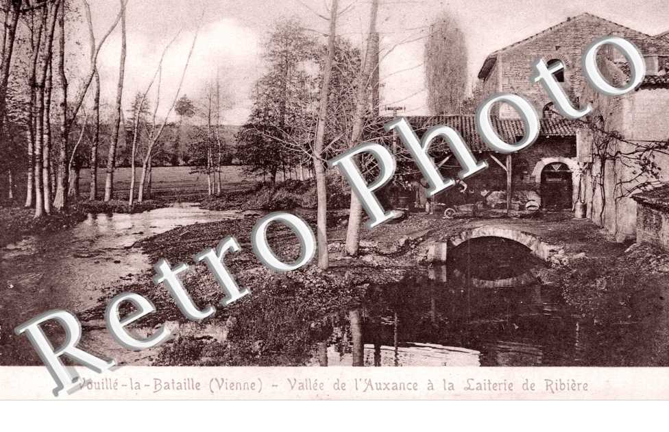 Vouille-la-Bataille, Vallee de l'Auxance a la Laiterie de Ribiere