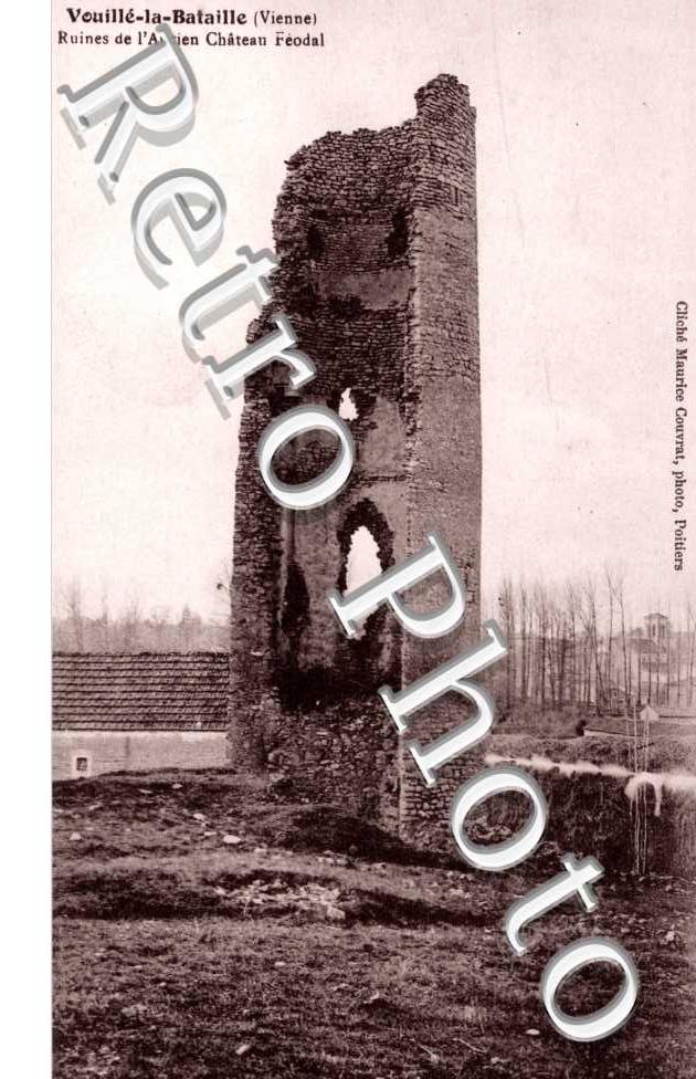 Ruines de l'ancien Chateau Feodal