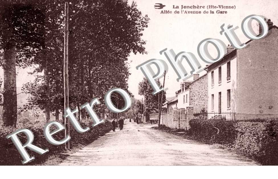 allee de l' avenue de la Gare