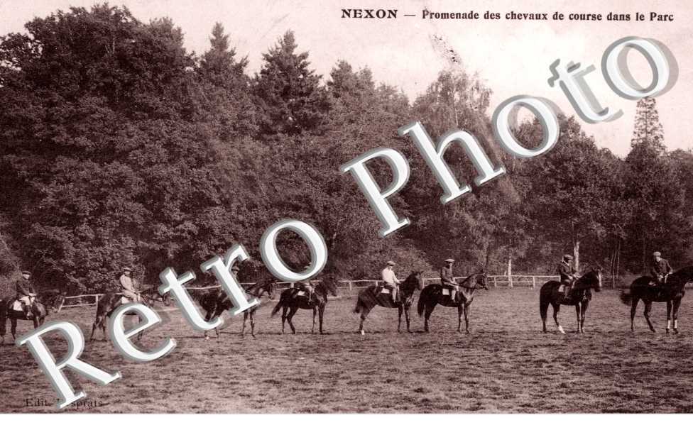 Promenade des Chevaux de Course dans le Parc
