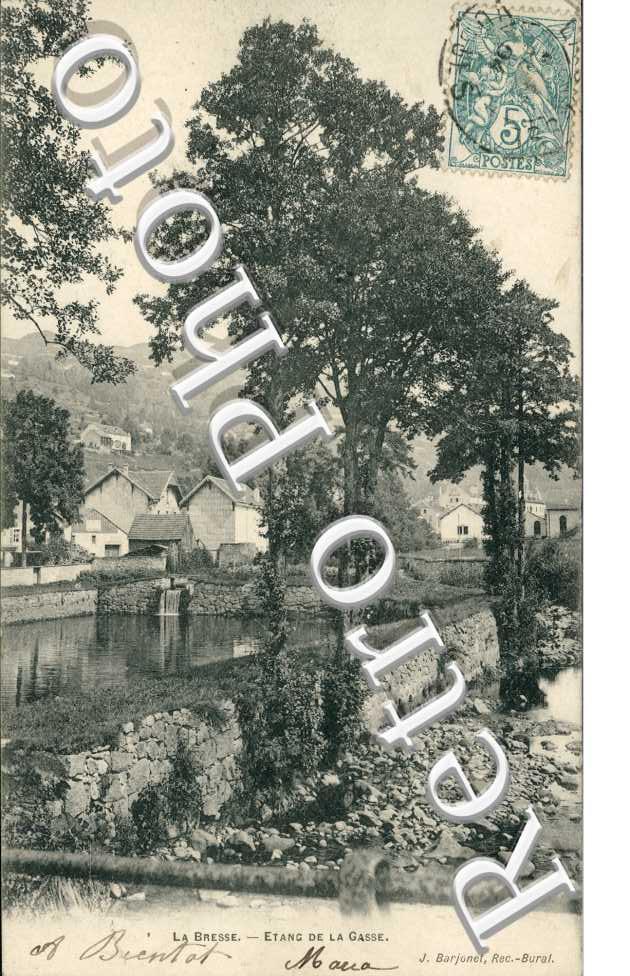 Etang de la Gasse