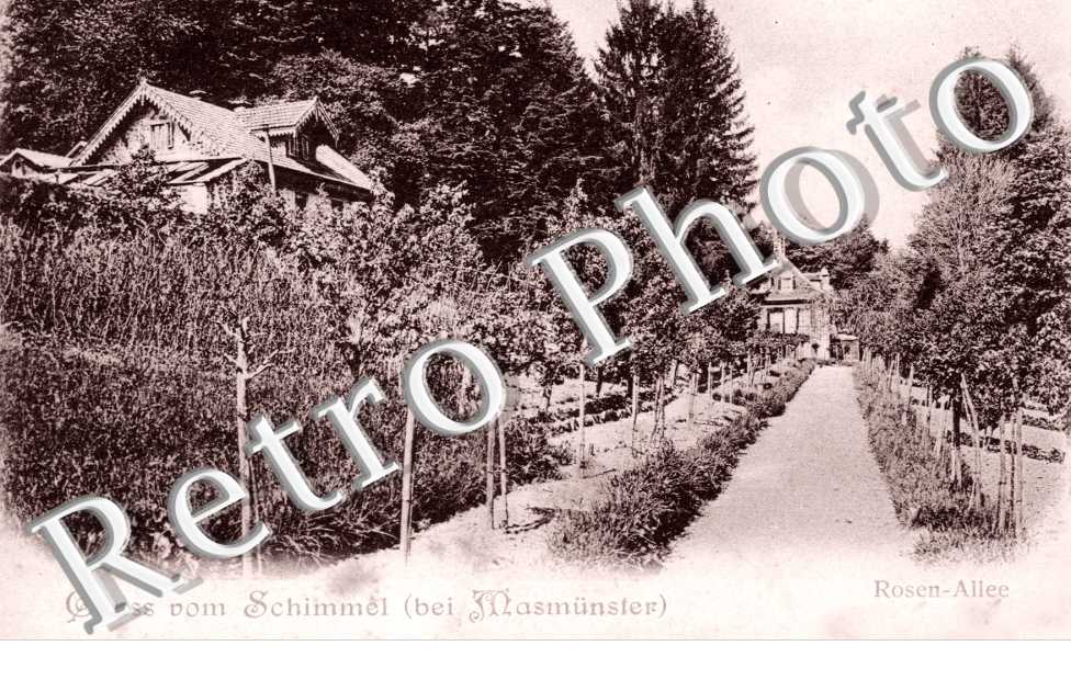 Vue de Schimmel