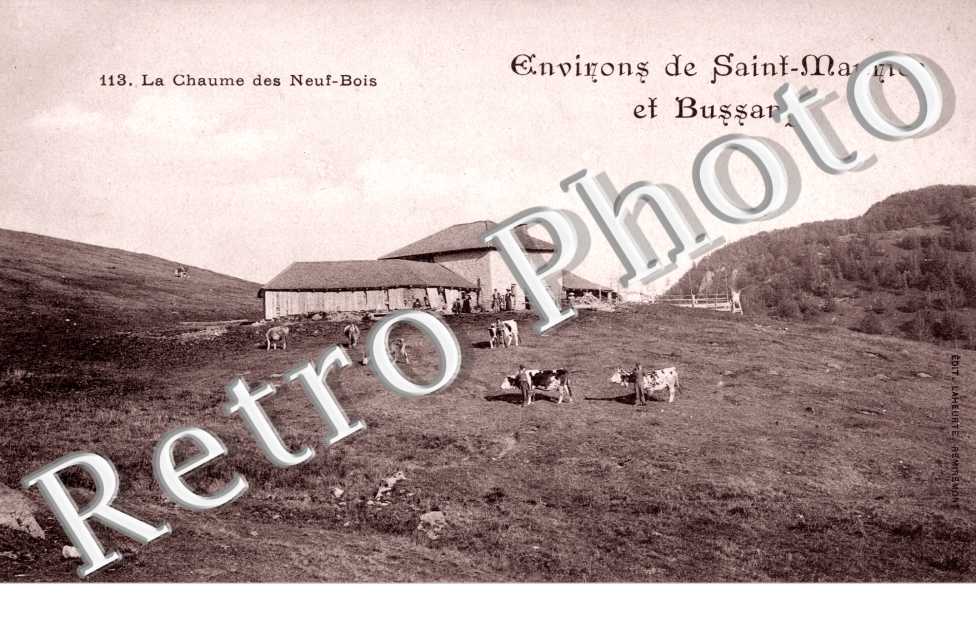 la chaume des Neuf-Bois