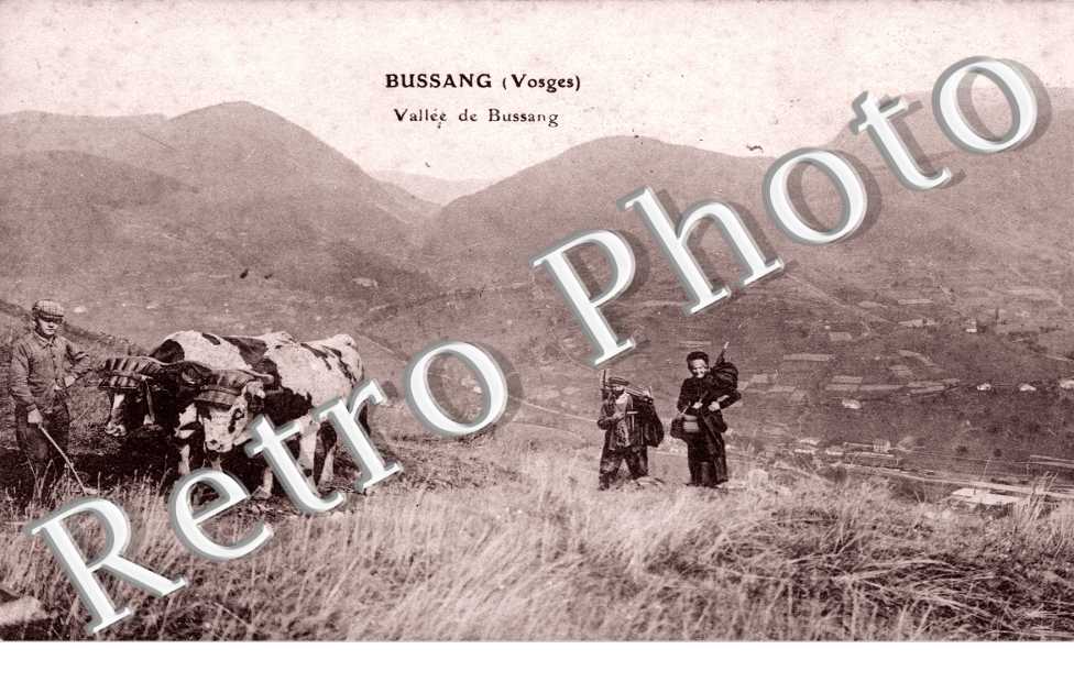 vallee de Bussang