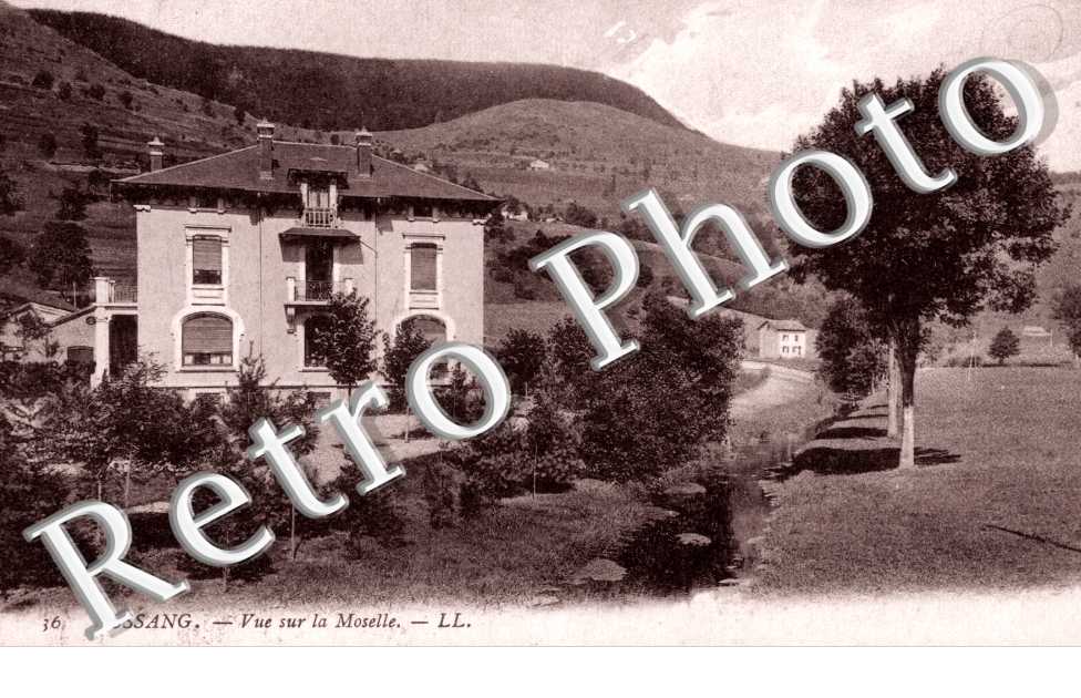 vue sur la Moselle