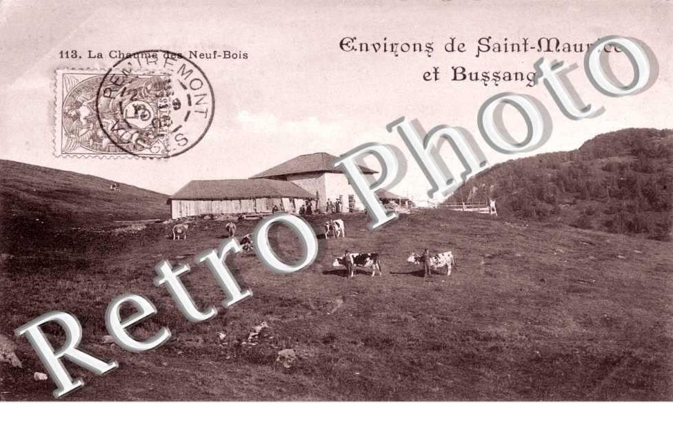 La Chaume des Neuf Bois