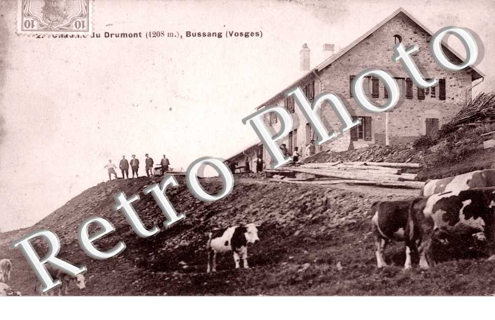 Drumont