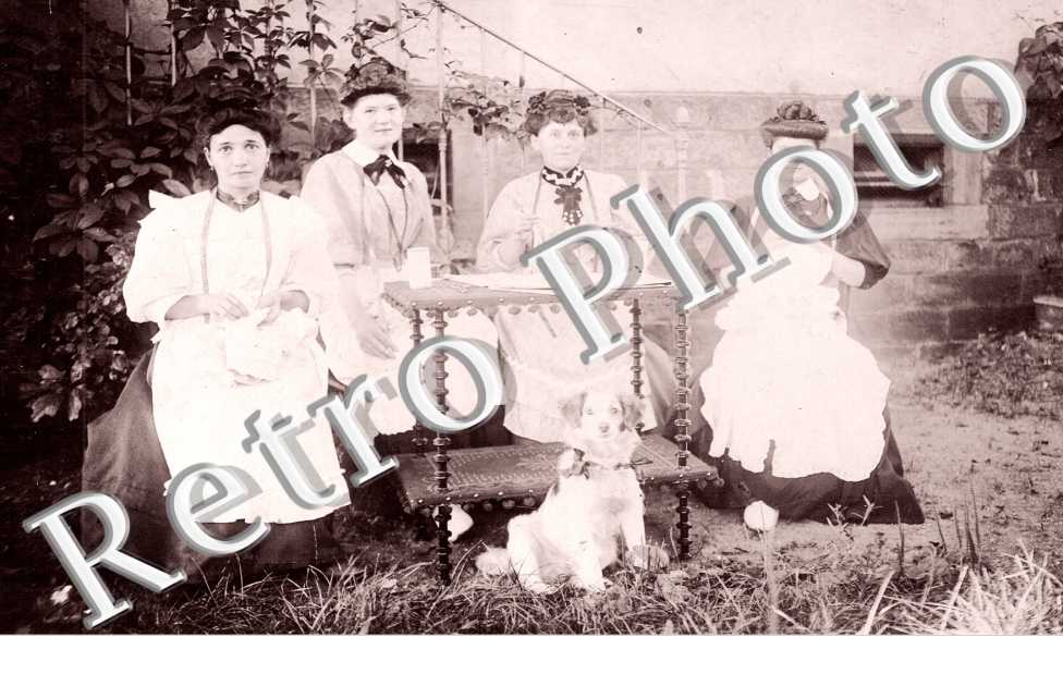 Quatre femmes et un chien