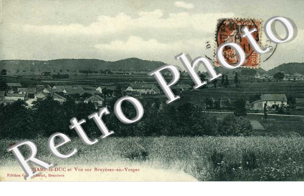 Vue sur Bruyeres-en-Vosges