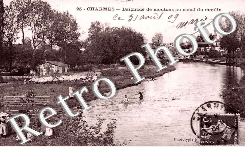 Baignade de Moutons au Canal du Moulin