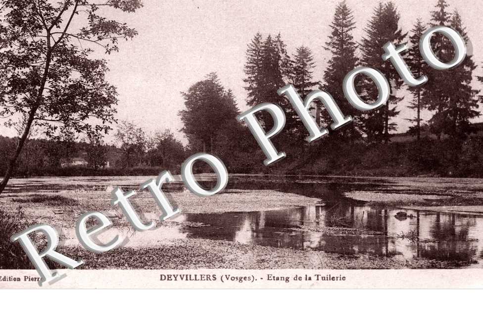 Etang de la Tuilerie