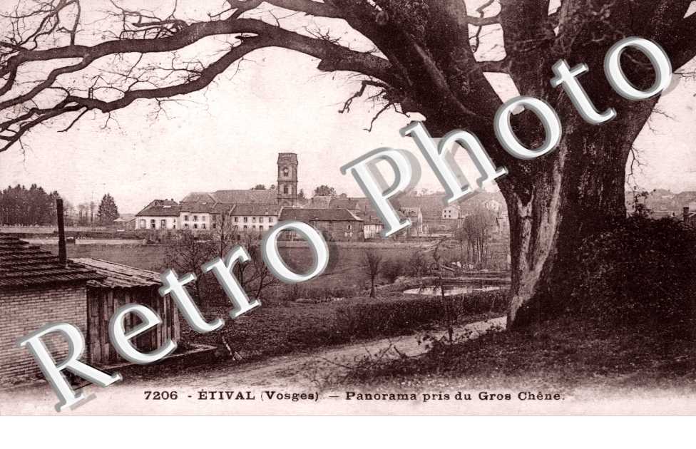 panorama pris du Gros Chene