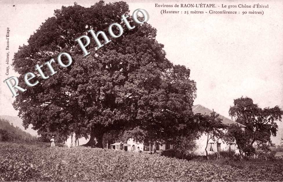 le Gros Chene d&#039;Etival