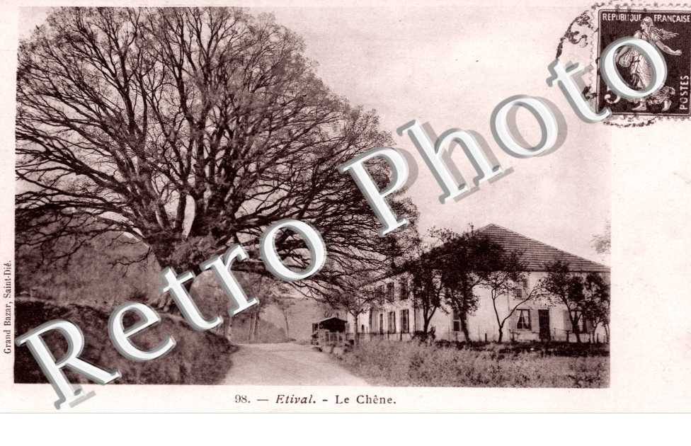 le Chene