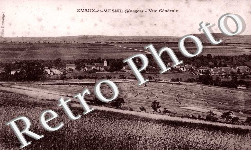 Vue generale