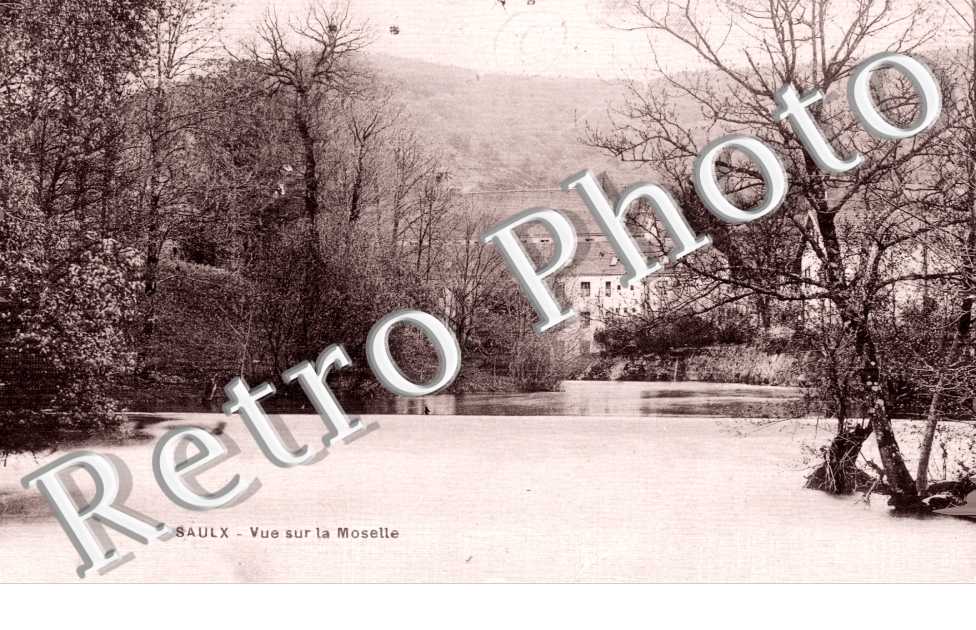 Saulx - Vue sur la Moselle