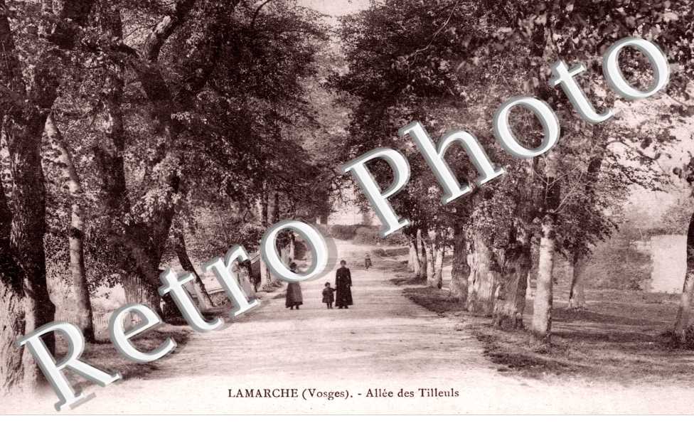 Allee des Tilleuls