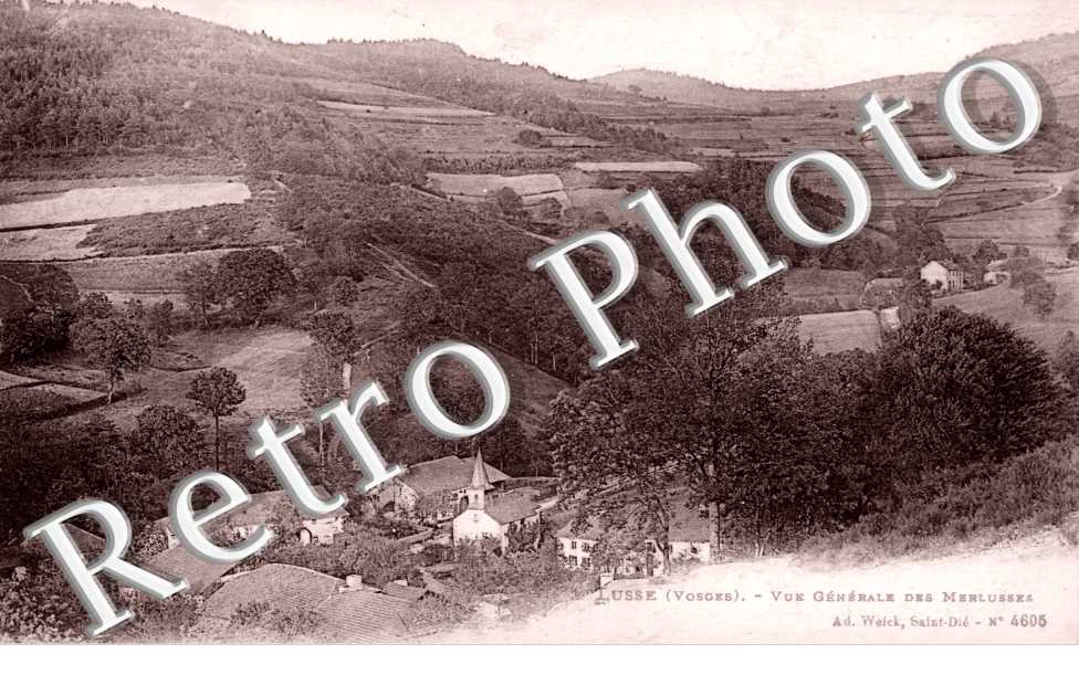 Vue Generale des Merlusses
