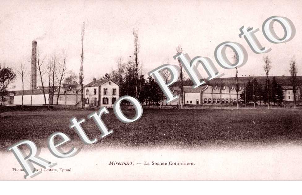 La Societe Cotonniere