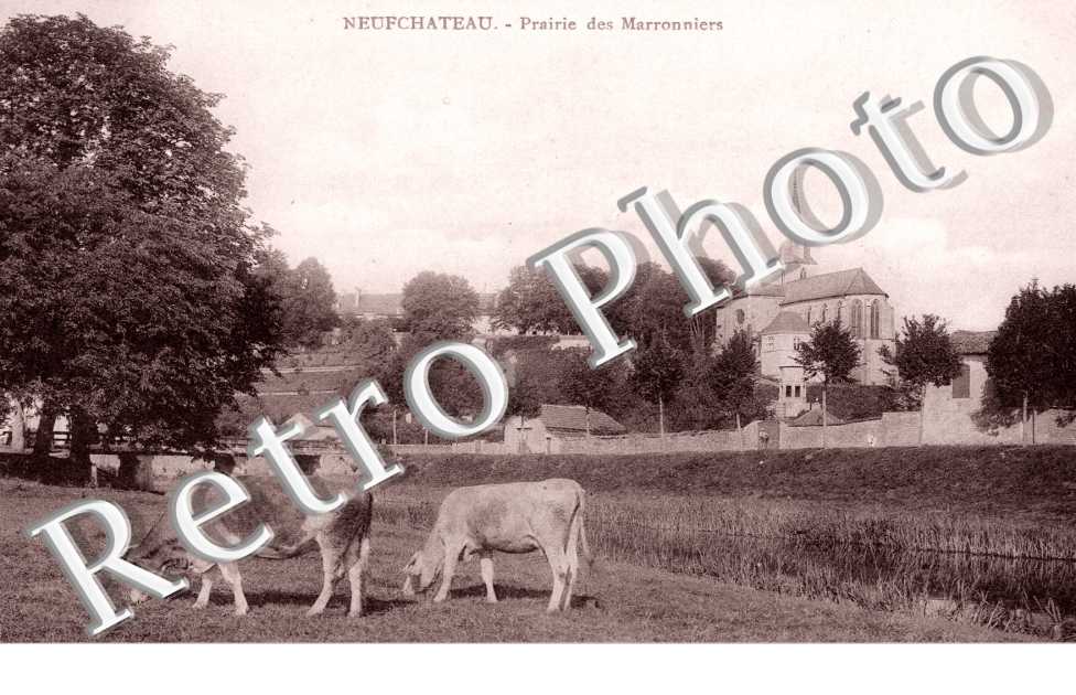 Prairie des Marronniers