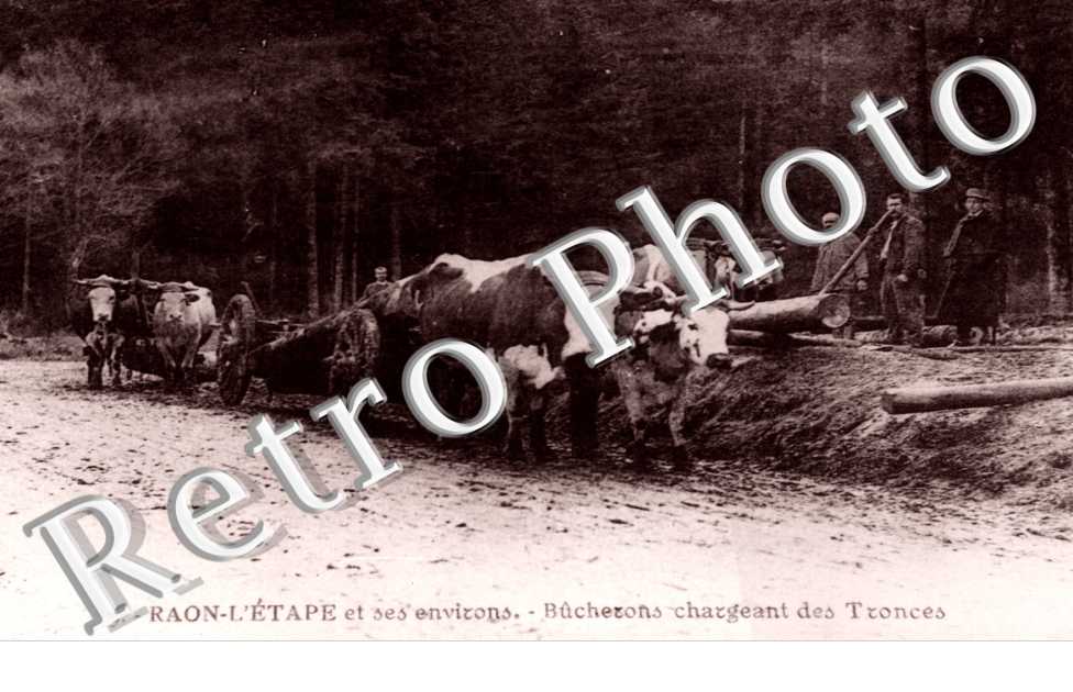 Bucherons chargeant des tronces