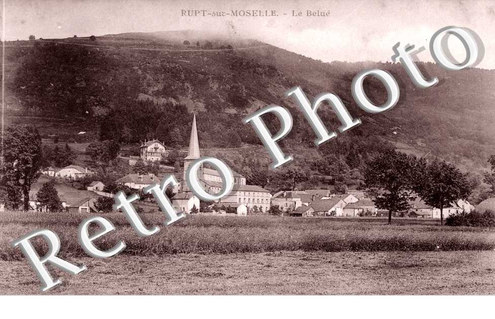 Le Belue