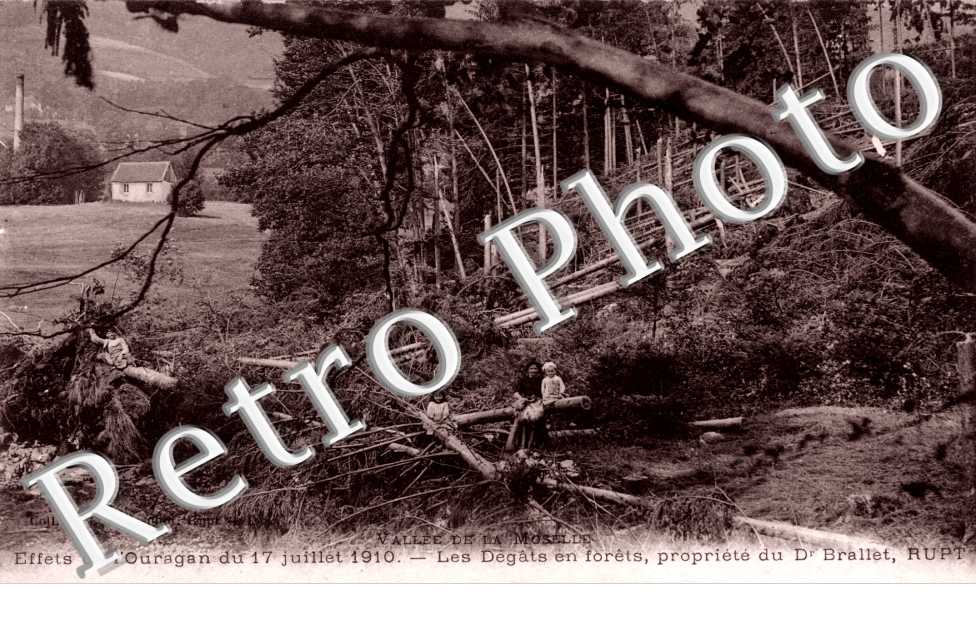 Effets de l'ouragan du 17 juillet 1910 Les degats en forets, propriete du Dr Brallet