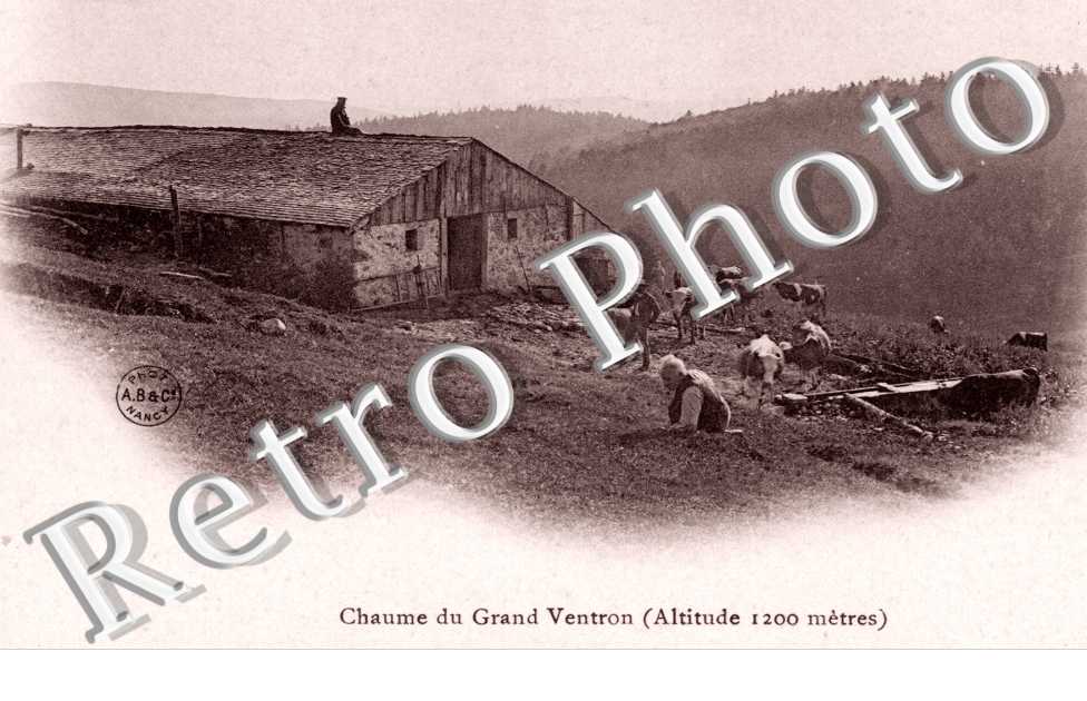 chaume du grand ventron