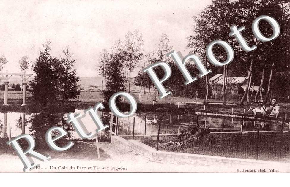 LE TIR AUX PIGEONS