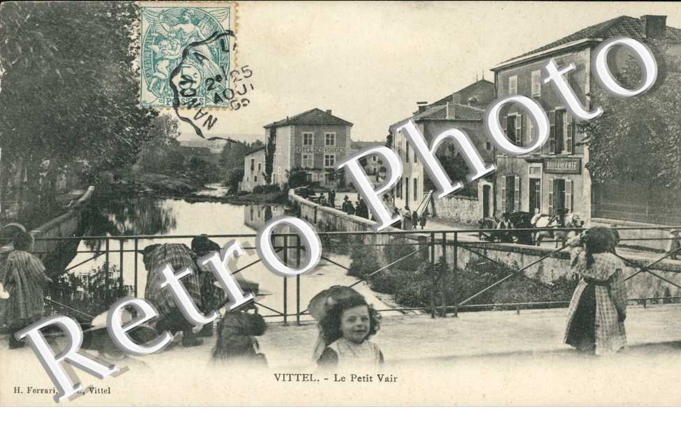 le petit vair