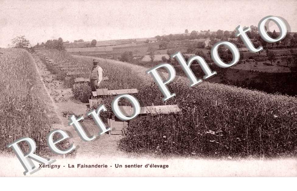 la Faisanderie Un sentier d'elevage