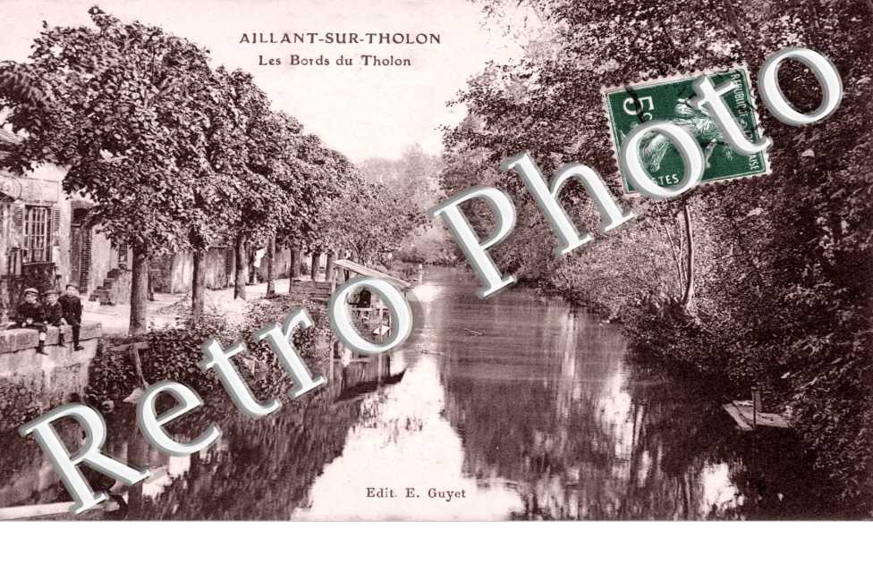 Les Bords du Tholon